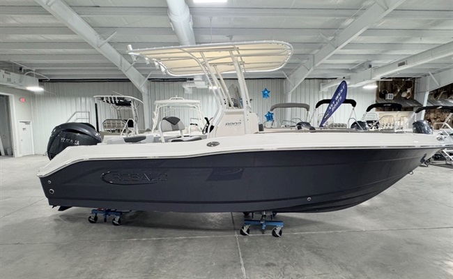 2027 Robalo R202 Explorer Shark Gray 